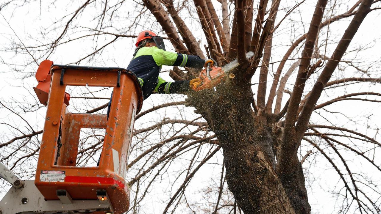 Konak’ta kış dayanışması