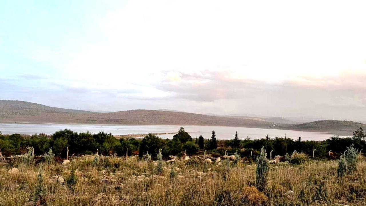 Kutlu Aktaş Barajı’nda sevindirici yükseliş