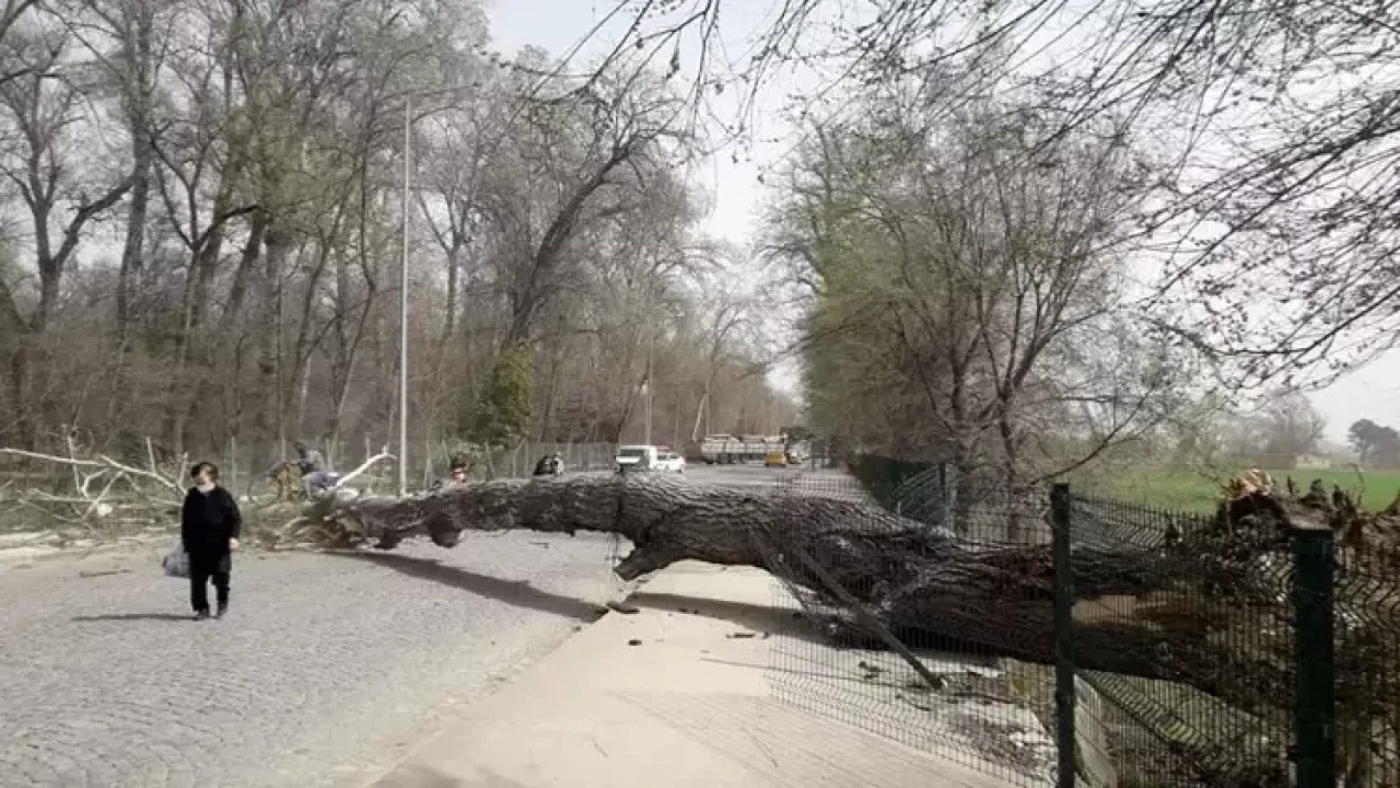 Marmara'da fırtına, Trakya'da şiddetli yağış bekleniyor