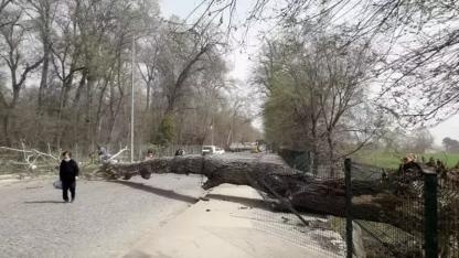 Marmara'da fırtına, Trakya'da şiddetli yağış bekleniyor