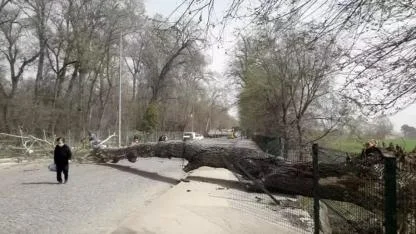 Marmara'da fırtına, Trakya'da şiddetli yağış bekleniyor