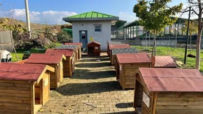 Seferihisar’da “Can Dostlar” için kulübe destek kampanyası