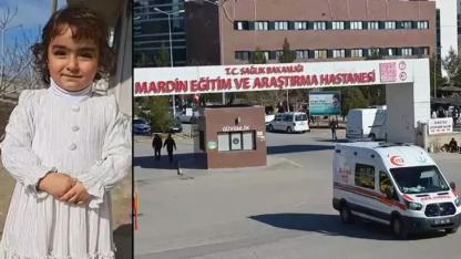 Sokak köpeklerinin saldırısına uğrayan Nazlı, ağır yaralandı