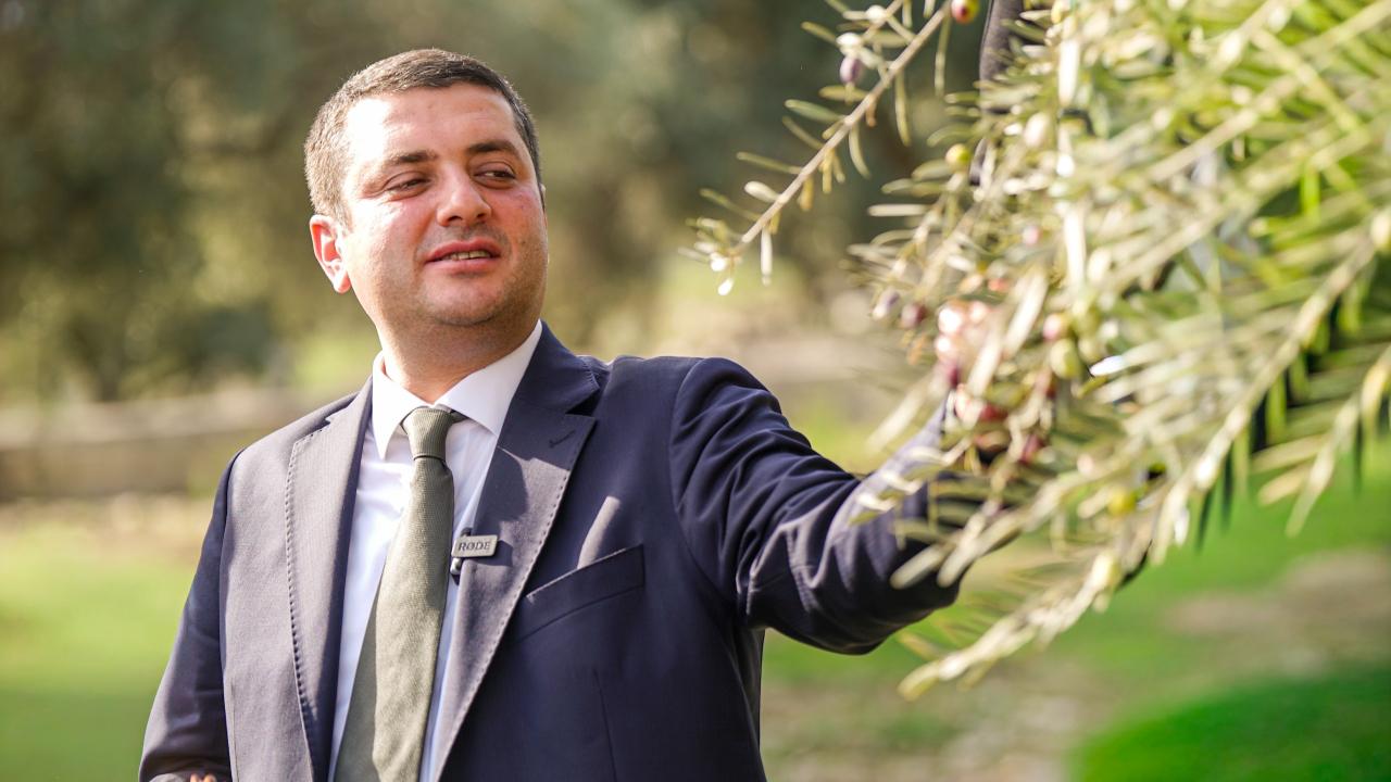 Torbalı Metropolis Zeytinyağları