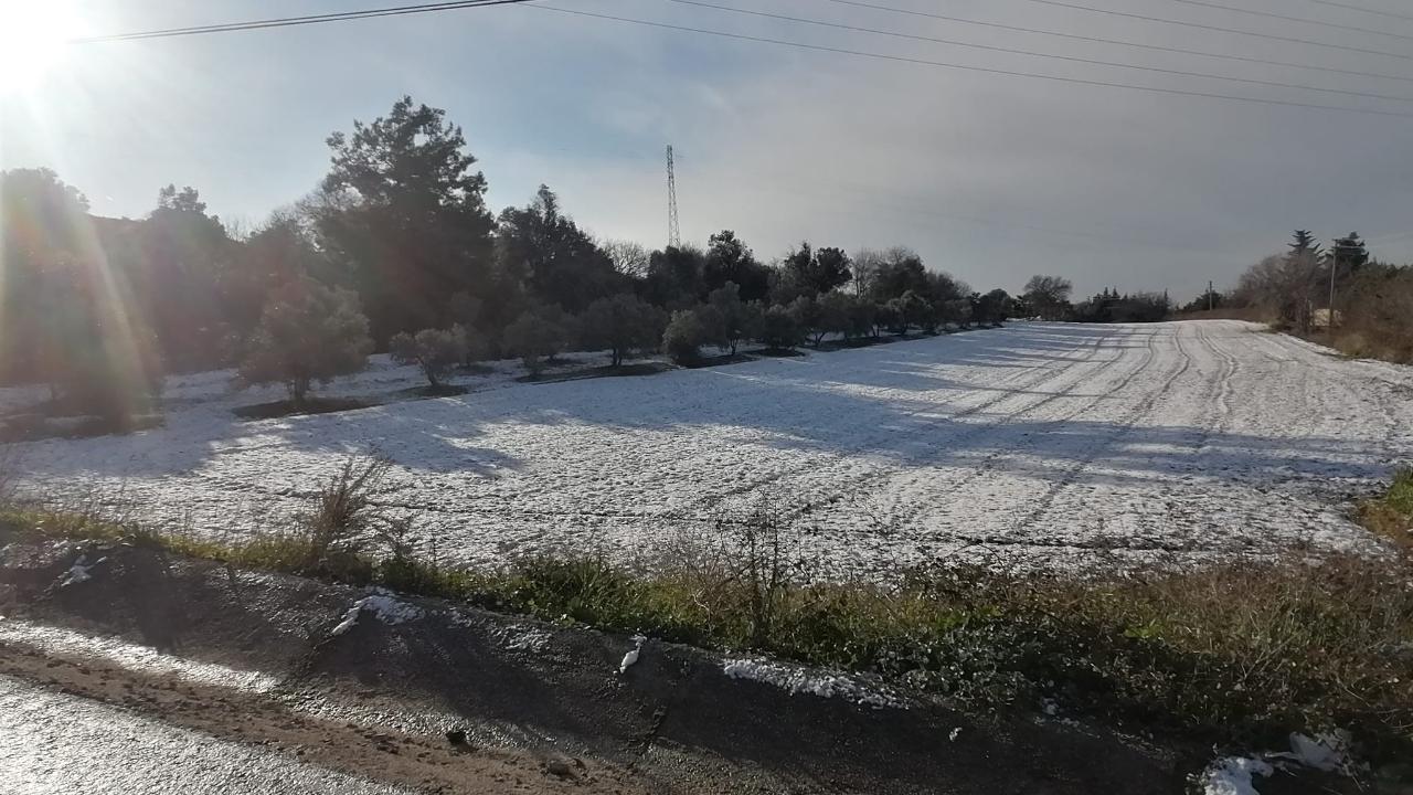 Urla'da kar yağışı etkili oldu