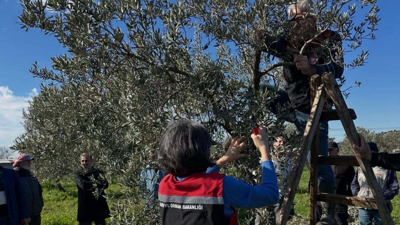 Aliağa'da tarımsal eğitimler aralıksız sürüyor