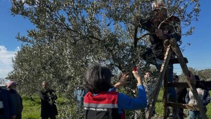 Aliağa'da tarımsal eğitimler aralıksız sürüyor