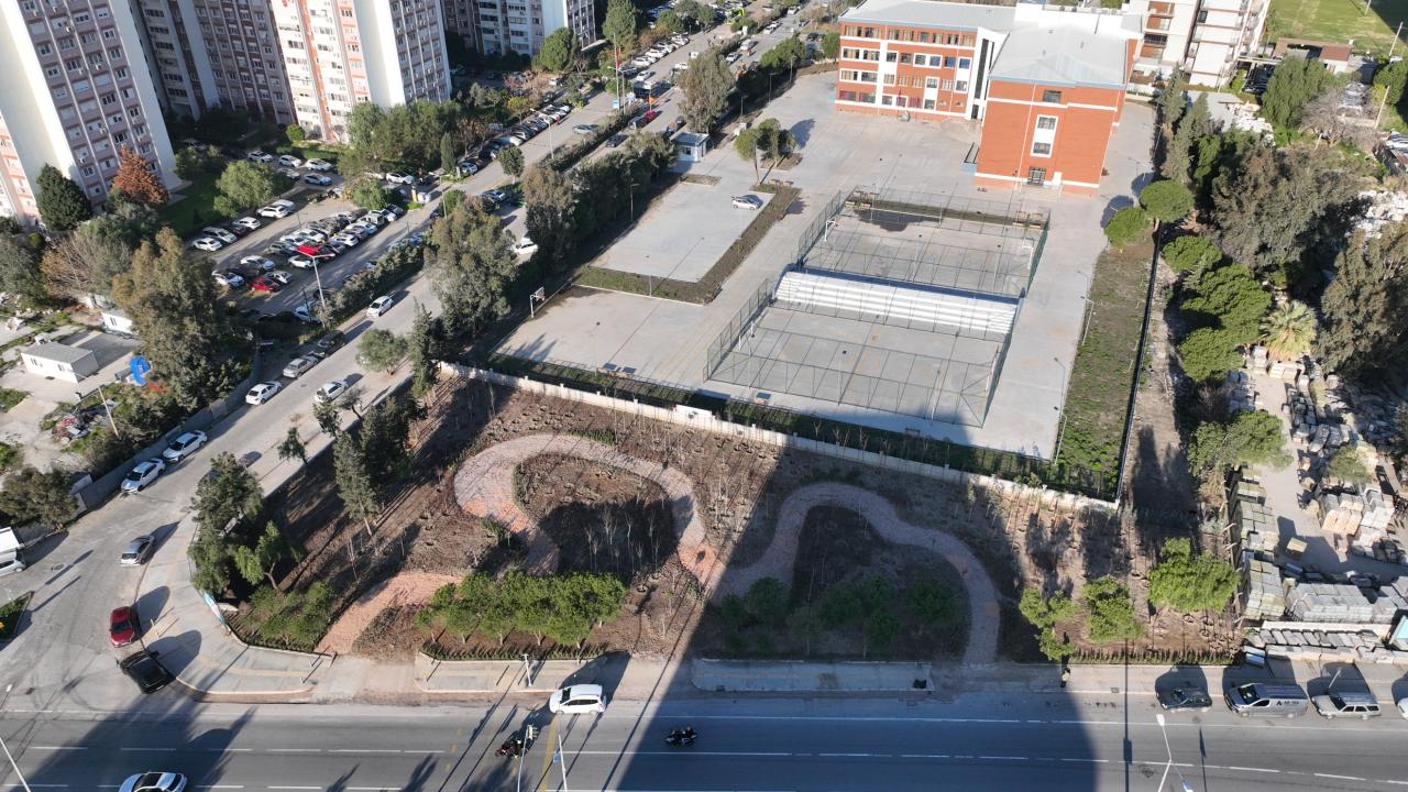 Betonun arasından orman çıktı