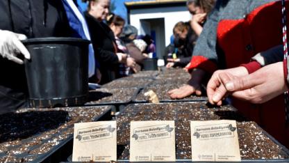 Bornova’da toprak kadınlarla canlanıyor