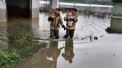 İzmir İtfaiyesi tüm canlıların imdadına yetişiyor