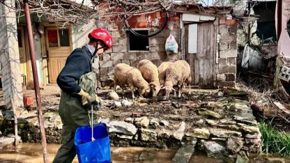 İzmir’de umudu büyüten görüntüler