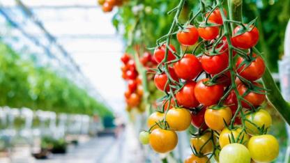 Jeotermal sektöründen "JEKA" talebi