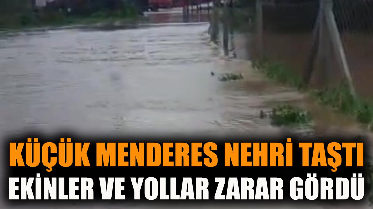 Küçük Menderes Nehri taştı, ekinler ve yollar zarar gördü