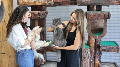 ‘Mutlu Çocuklar’a hayvan sevgisi eğitimi