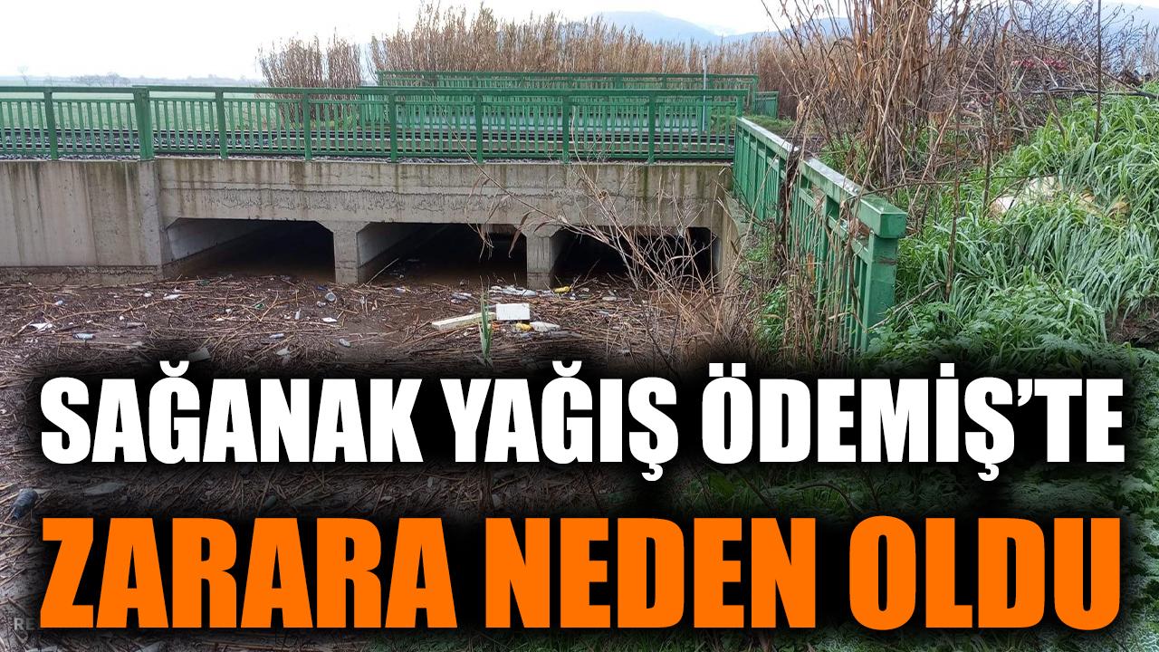 Sağanak yağış Ödemiş'te zarara neden oldu