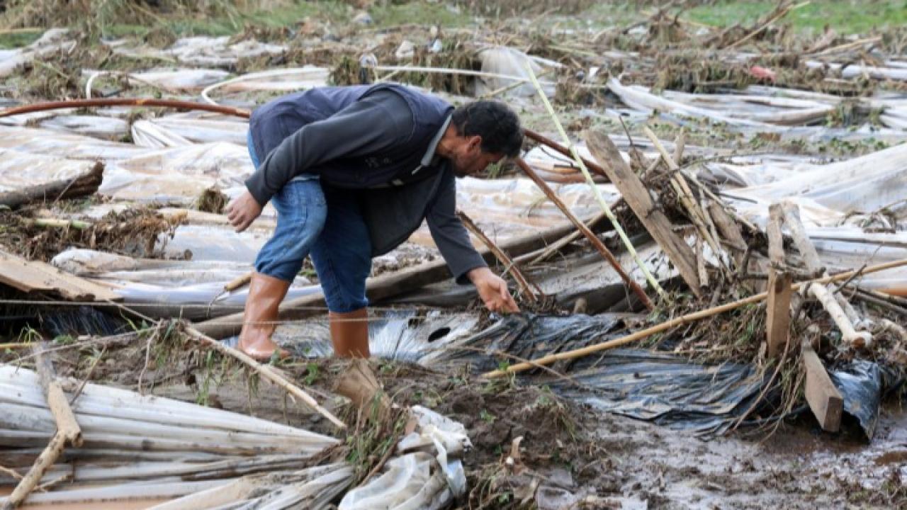 Tüm birikimlerini 1 saatte kaybettiler