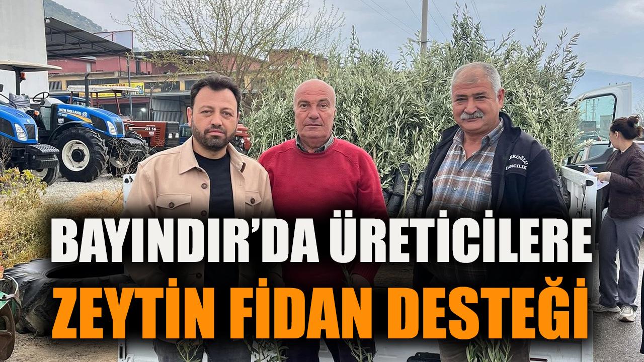 Bayındır’da üreticilere zeytin fidanı desteği