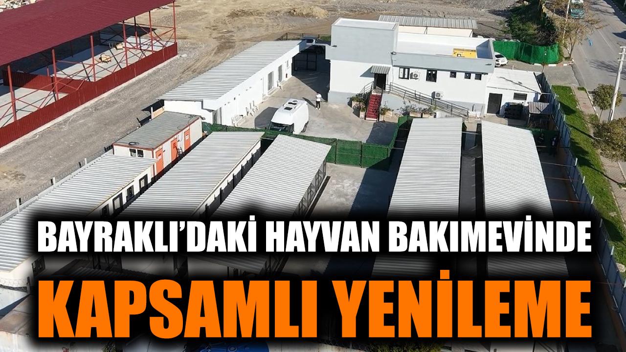 Bayraklı’daki Hayvan Bakımevinde Kapsamlı Yenileme