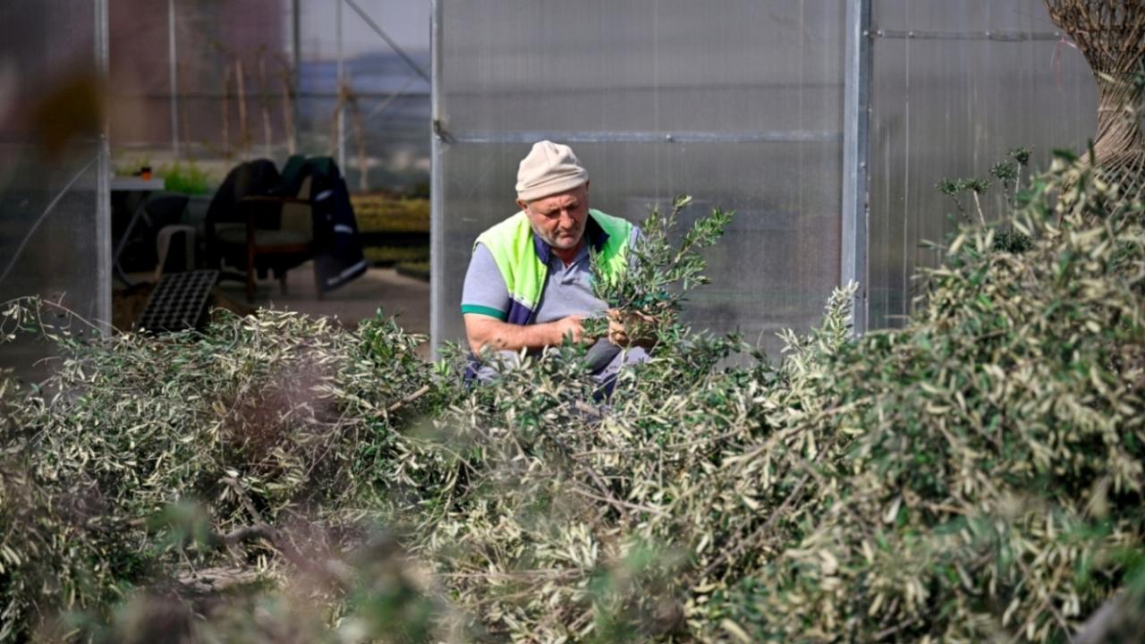 Bornova bahara hazırlanıyor