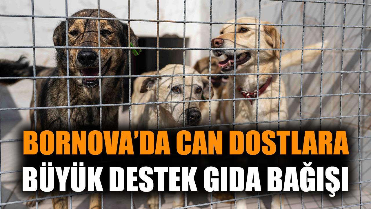 Bornova’da can dostlara büyük destek, gıda bağışı
