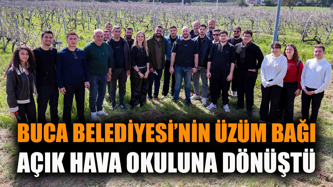 Buca Belediyesi’nin üzüm bağı açık hava okuluna dönüştü