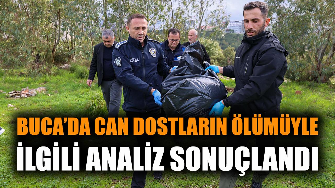 Buca’da can dostların ölümüyle ilgili analiz sonuçlandı