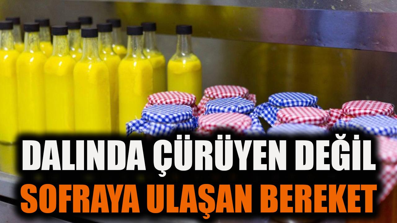 Dalında Çürüyen Değil, Sofraya Ulaşan Bereket