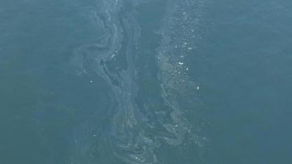 İzmir Körfezi'nde yine kirlilik tespit edildi