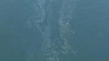 İzmir Körfezi'nde yine kirlilik tespit edildi