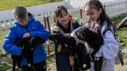 İzmir’de 2 bin 300 patili yuva bekliyor