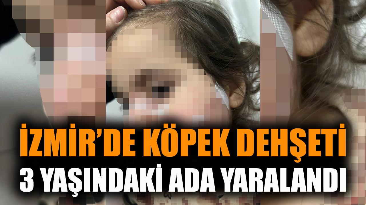 İzmir'de köpek dehşeti: 3 yaşındaki Ada yaralandı