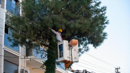 Karşıyaka’da budama seferberliği: Ağaçlar bahara hazırlanıyor