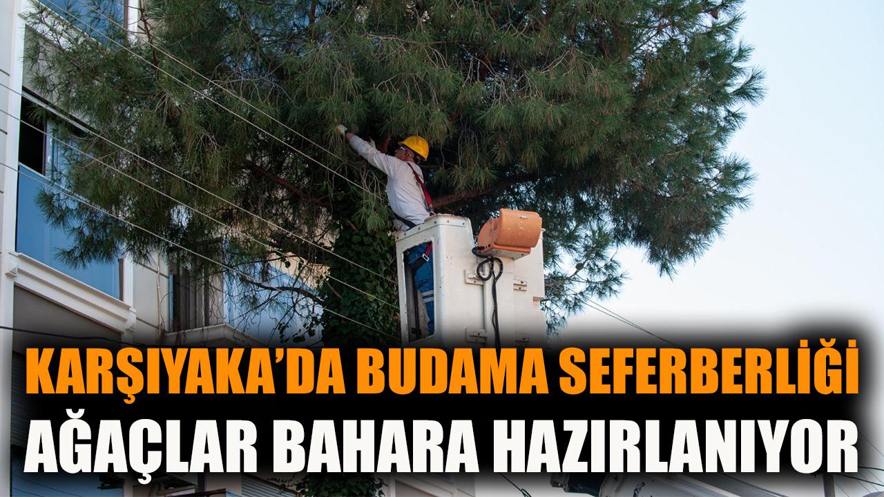 Karşıyaka’da budama seferberliği: Ağaçlar bahara hazırlanıyor