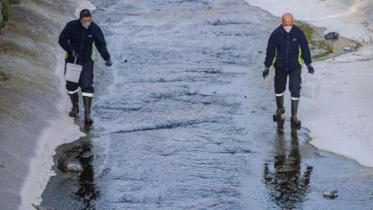 “Mevsimsel sinekler zararsız”