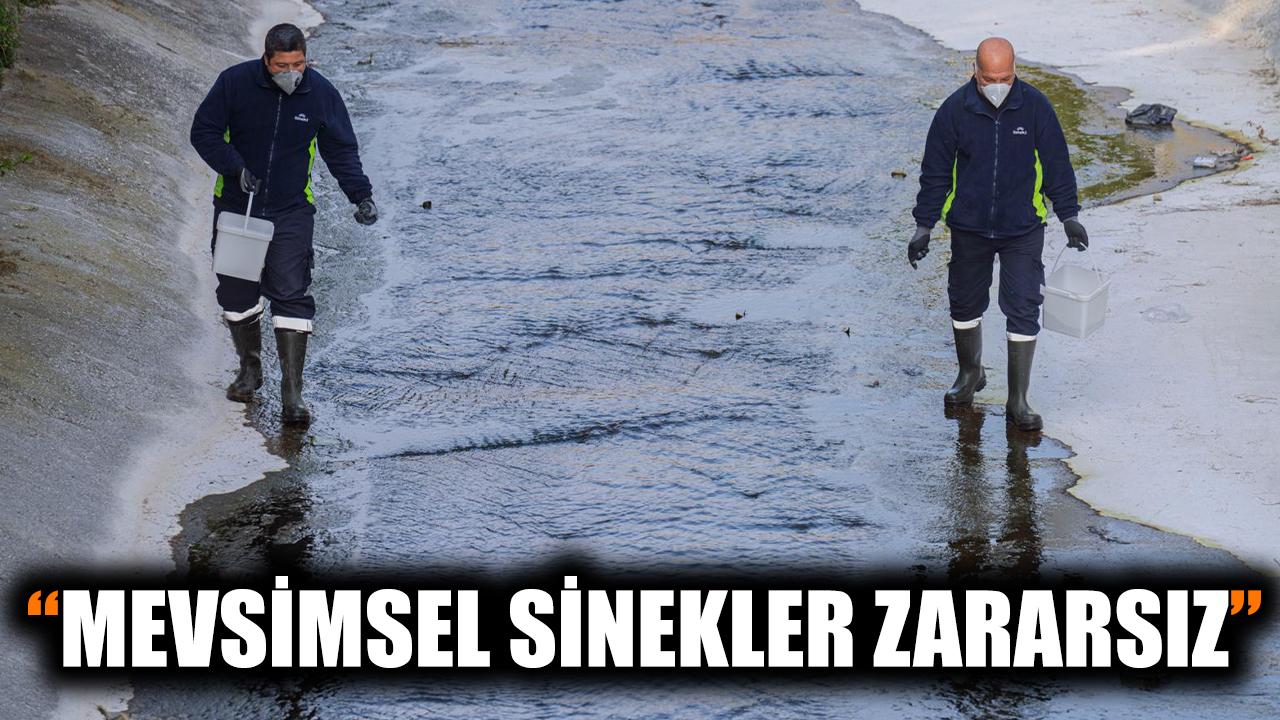“Mevsimsel sinekler zararsız”