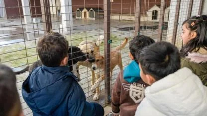 On binlerce cana dokunan seferberlik
