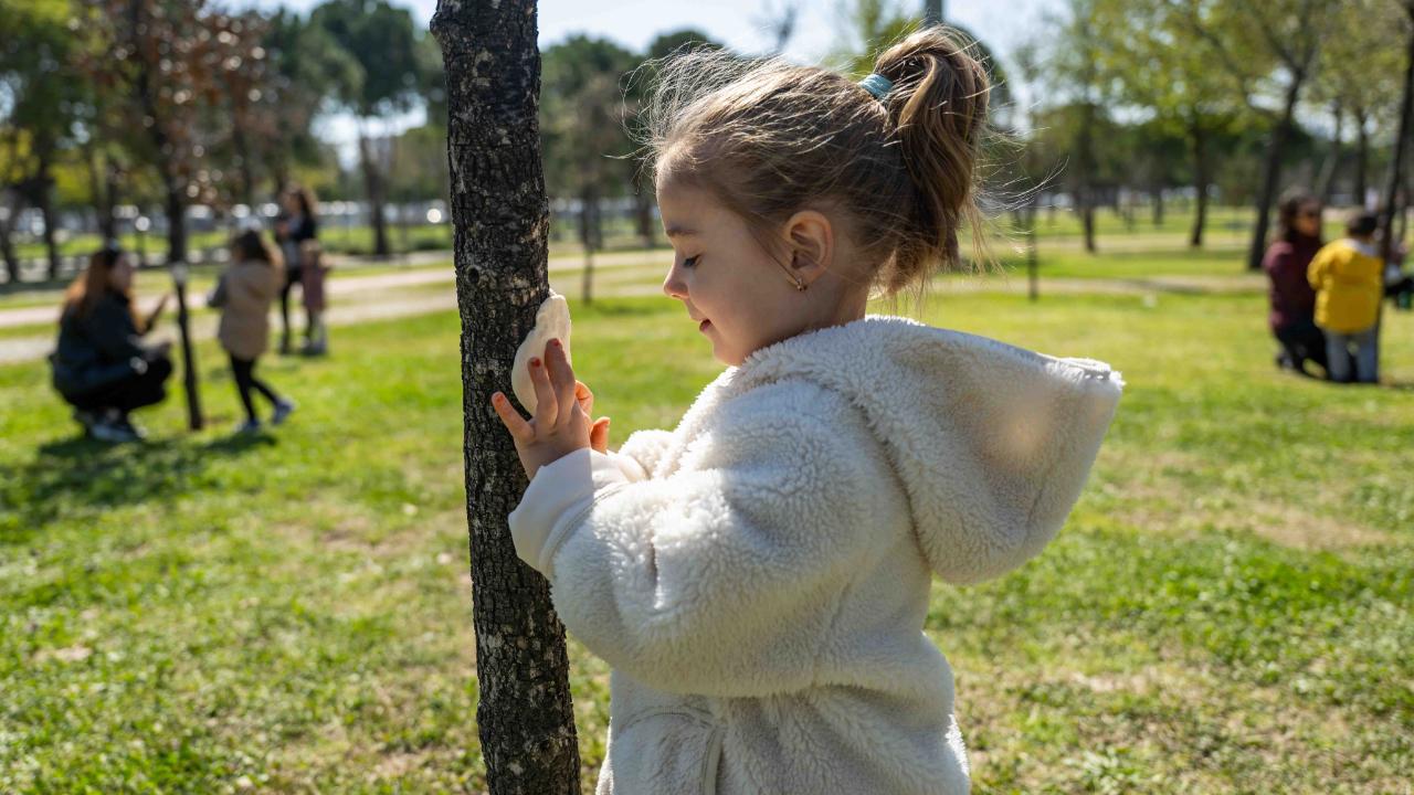 Sınıfımız Orman, Oyunumuz Doğa