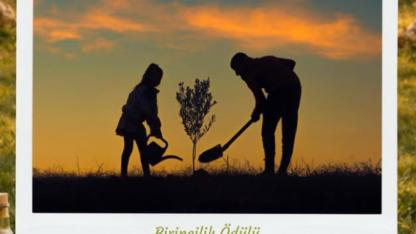 Zeytinin Emeği, Doğası ve Bereketi Fotoğraflarla Anlatıldı