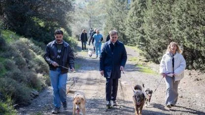 Barınaklardan 3 binin üzerinde hayvan sahiplendirildi