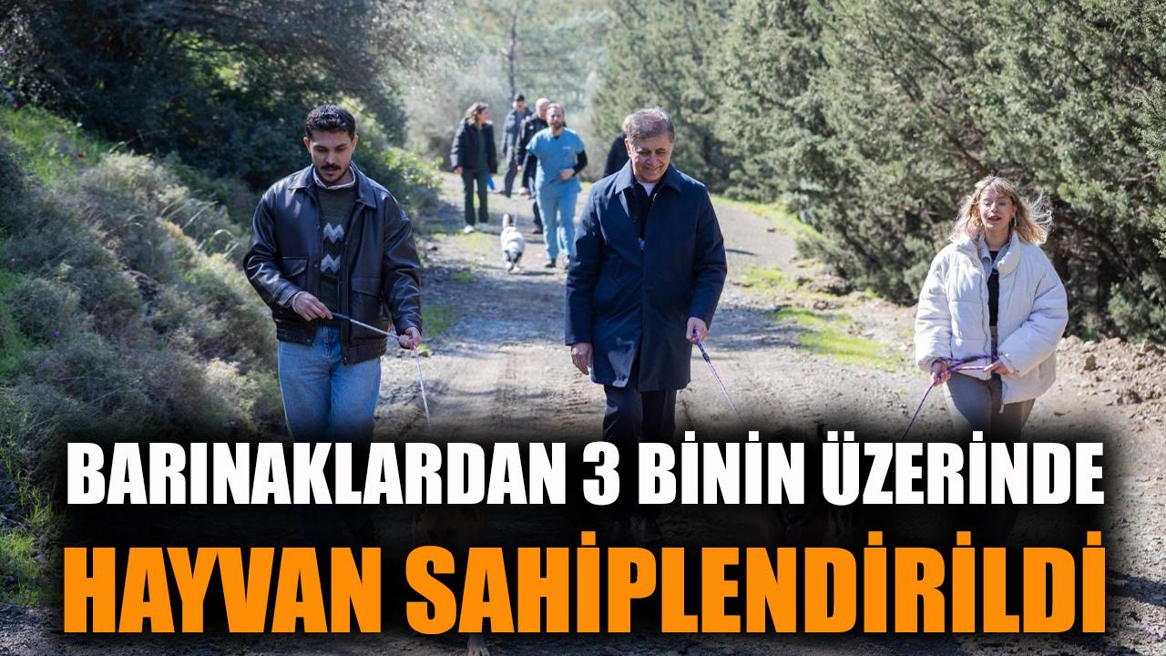 Barınaklardan 3 binin üzerinde hayvan sahiplendirildi