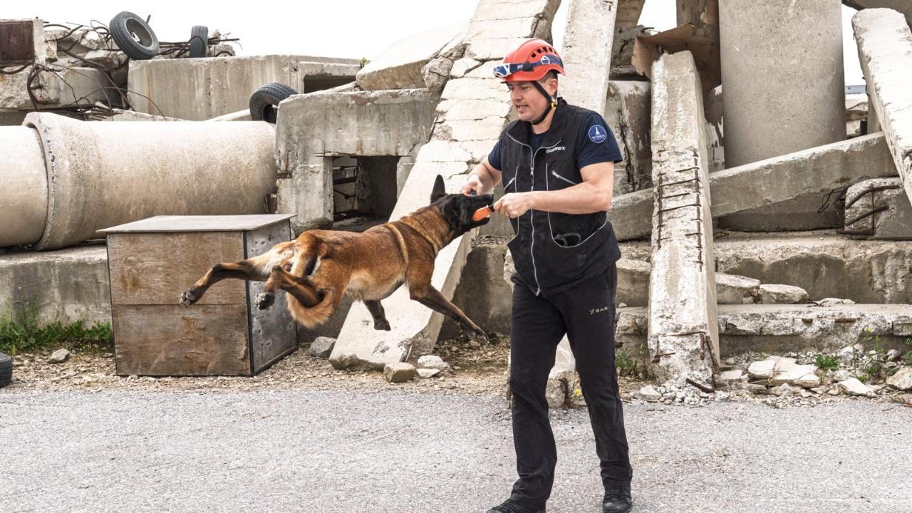 Barınaktan kahramanlığa