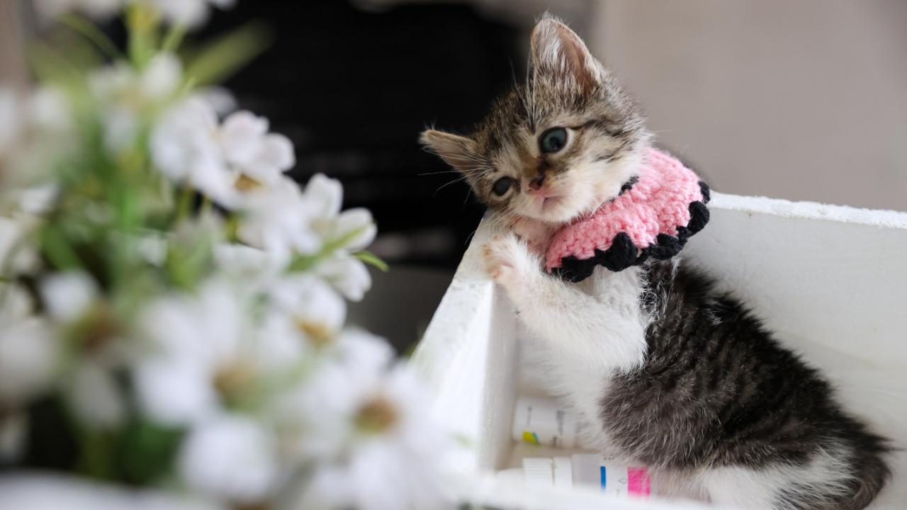 Buca Belediyesi ‘Zero’ için seferber oldu