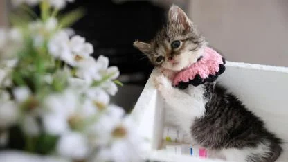 Buca Belediyesi ‘Zero’ için seferber oldu