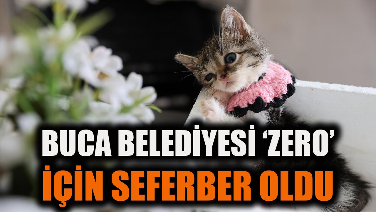 Buca Belediyesi ‘Zero’ için seferber oldu