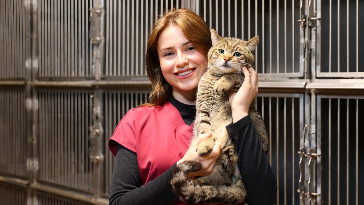 Buca’da 599 patili dost sıcak yuvaya kavuştu