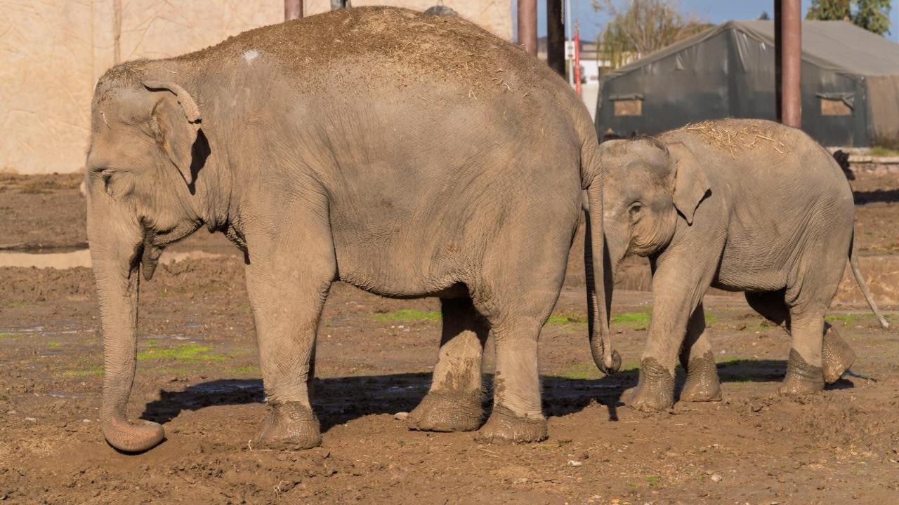 Büyükşehir’den çocuklara bayram hediyesi