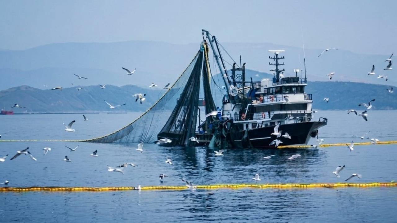 Denizlerde Av Yasağı 15 Nisan'da Başlıyor