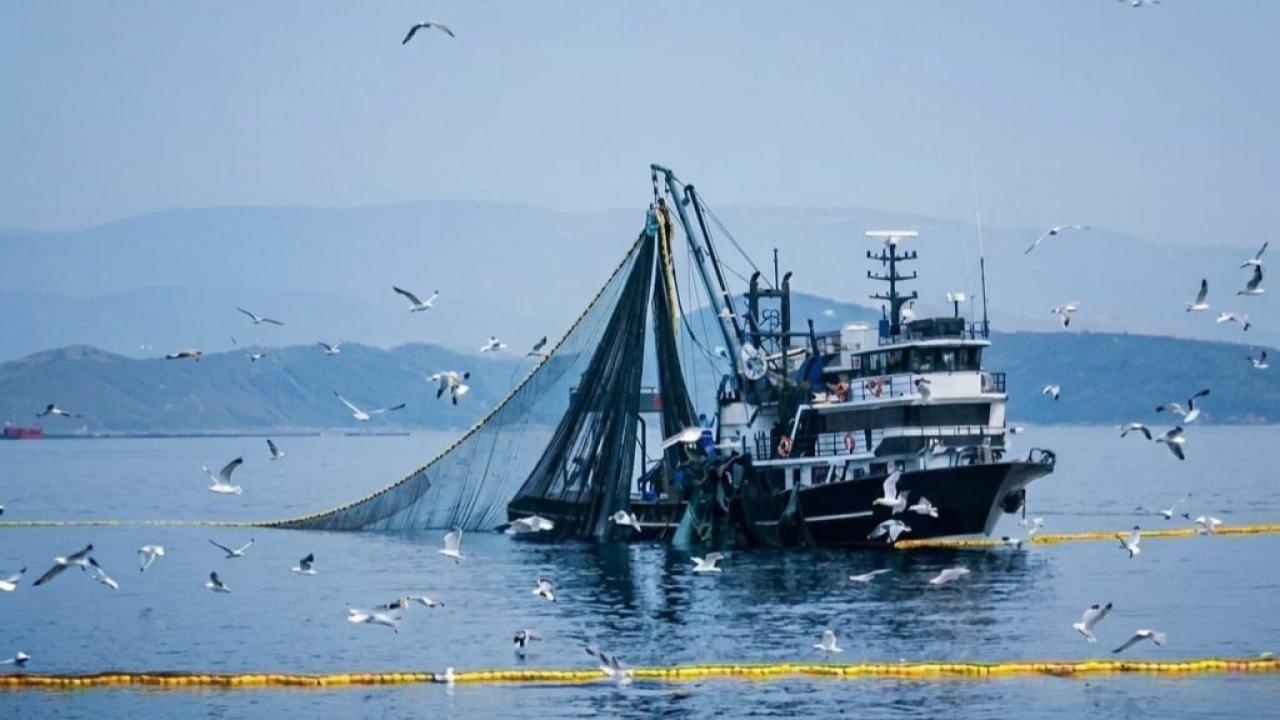 Denizlerde av yasağı 15 Nisan'da başlıyor