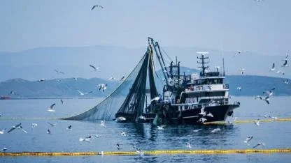 Denizlerde av yasağı 15 Nisan'da başlıyor