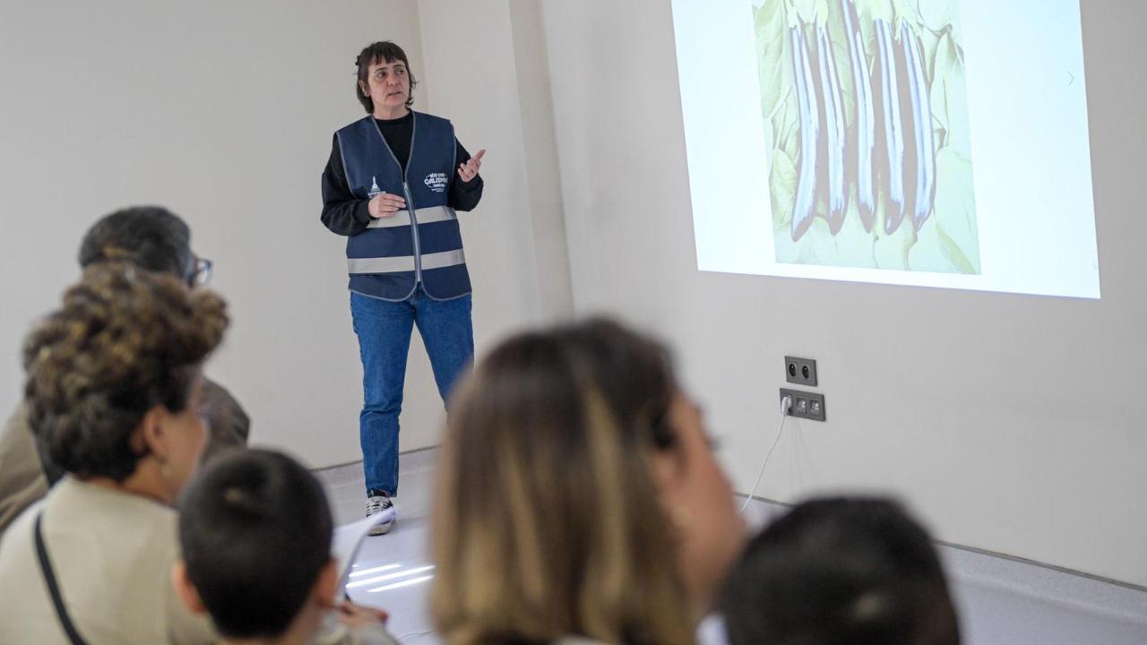 Doğa ve patili dostlar şifa dağıtıyor